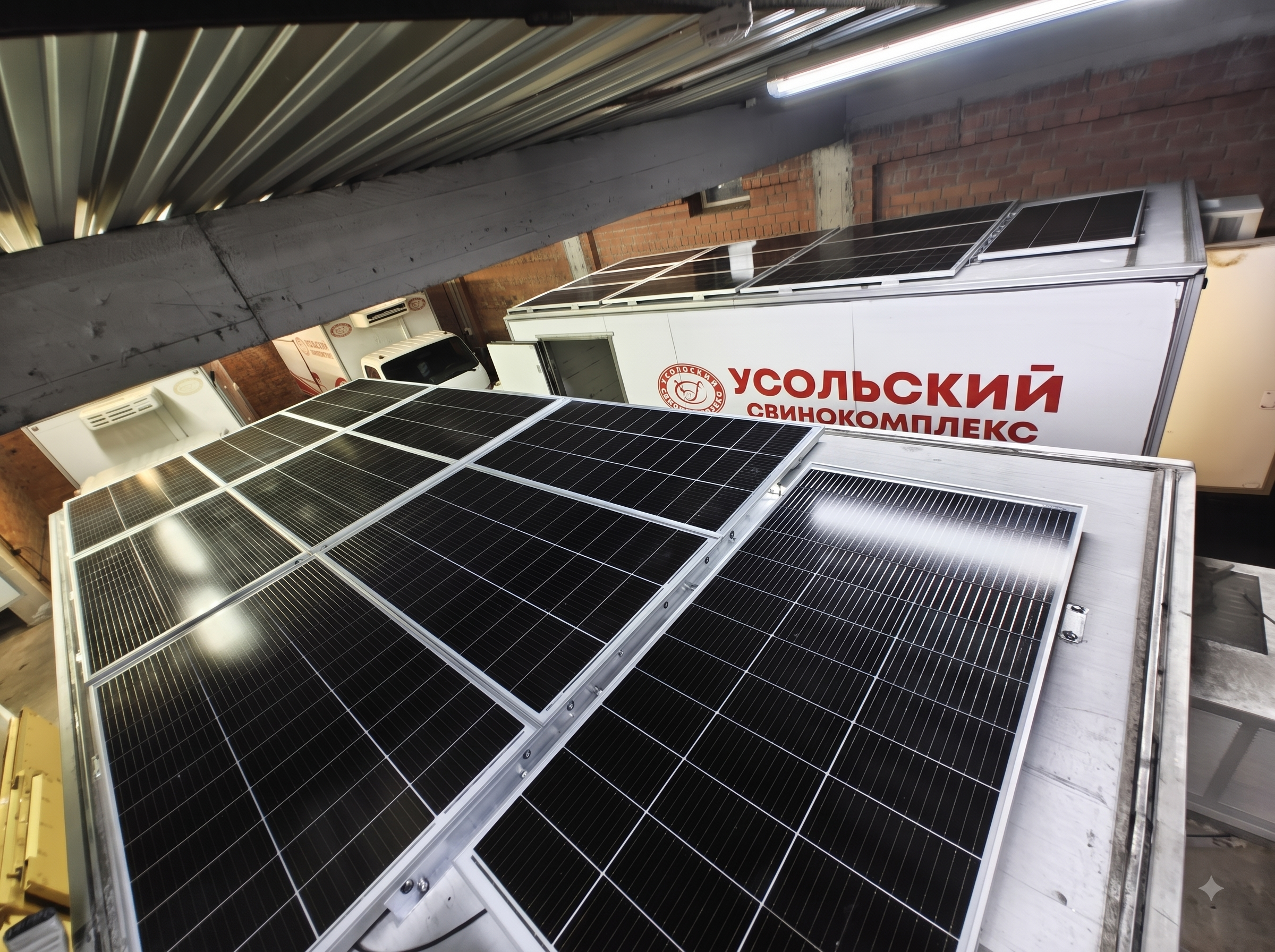 Солнечная энергия для &laquo;Усольского свинокомплекса&raquo;
